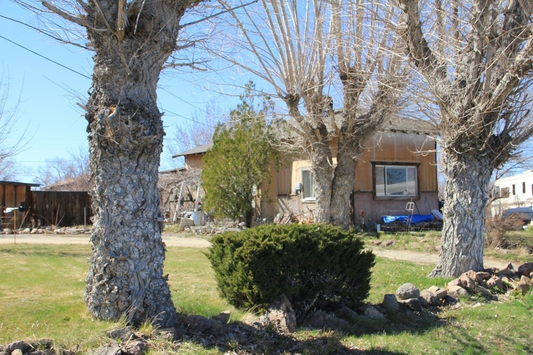 The Stevens House in color