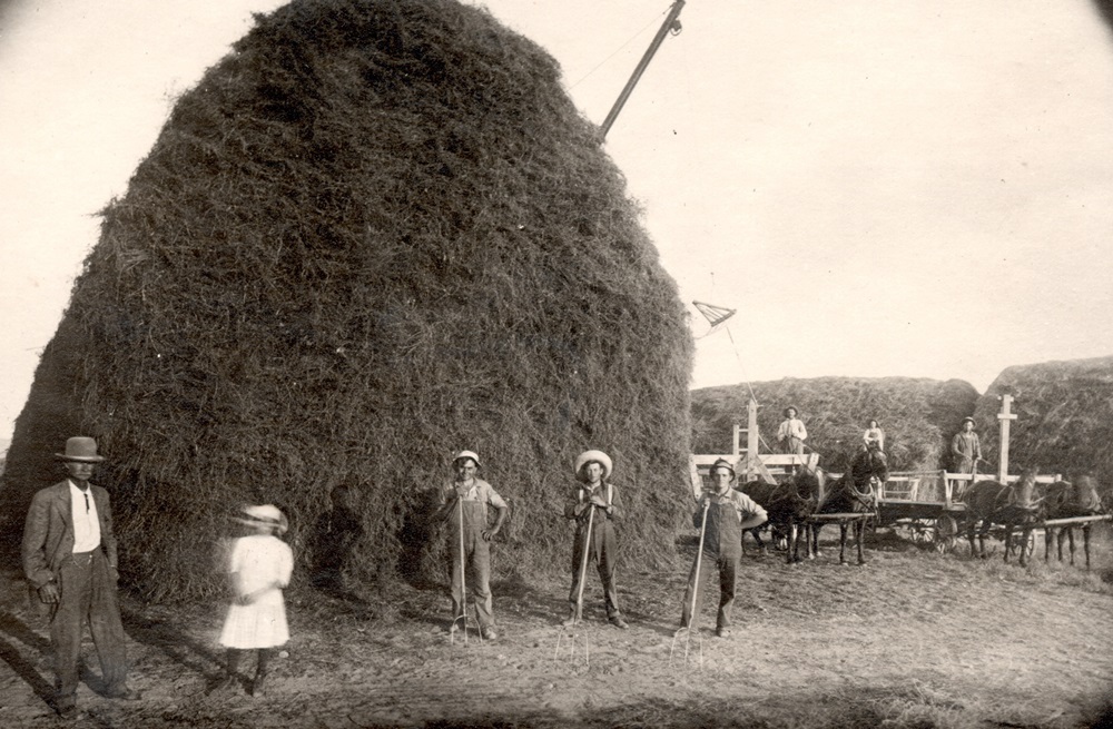 Haying on the Ranch