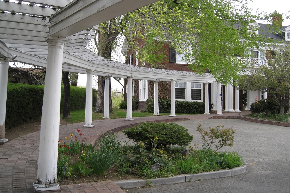 Arbor
