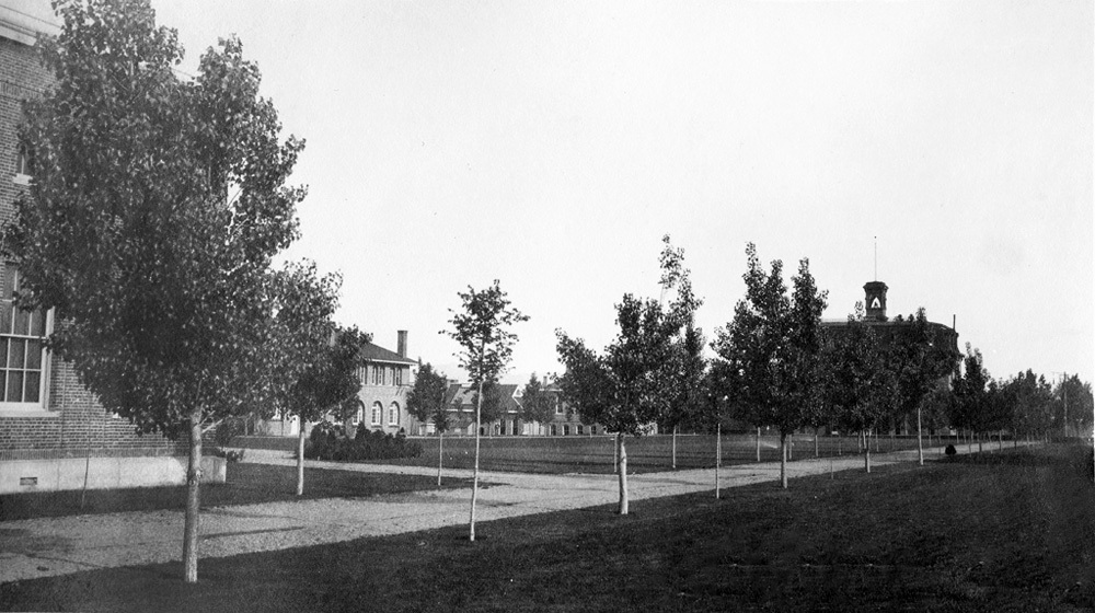 Looking south
