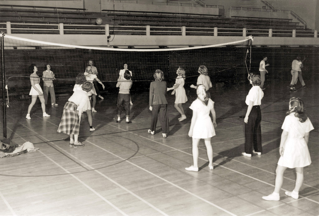 Volleyball game