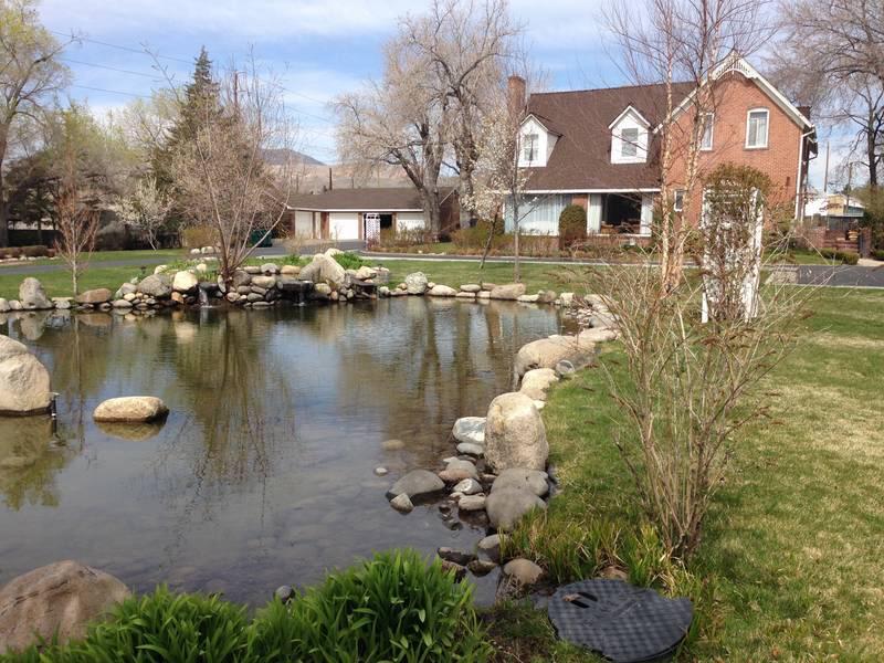The house and pond