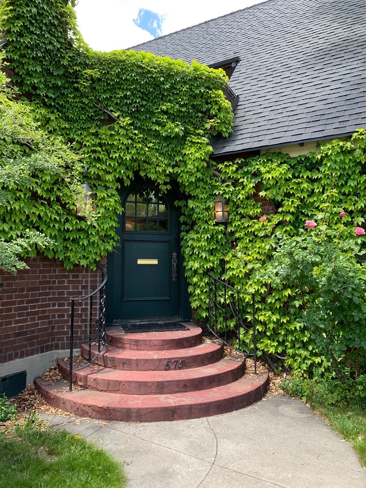 Leafy entrance