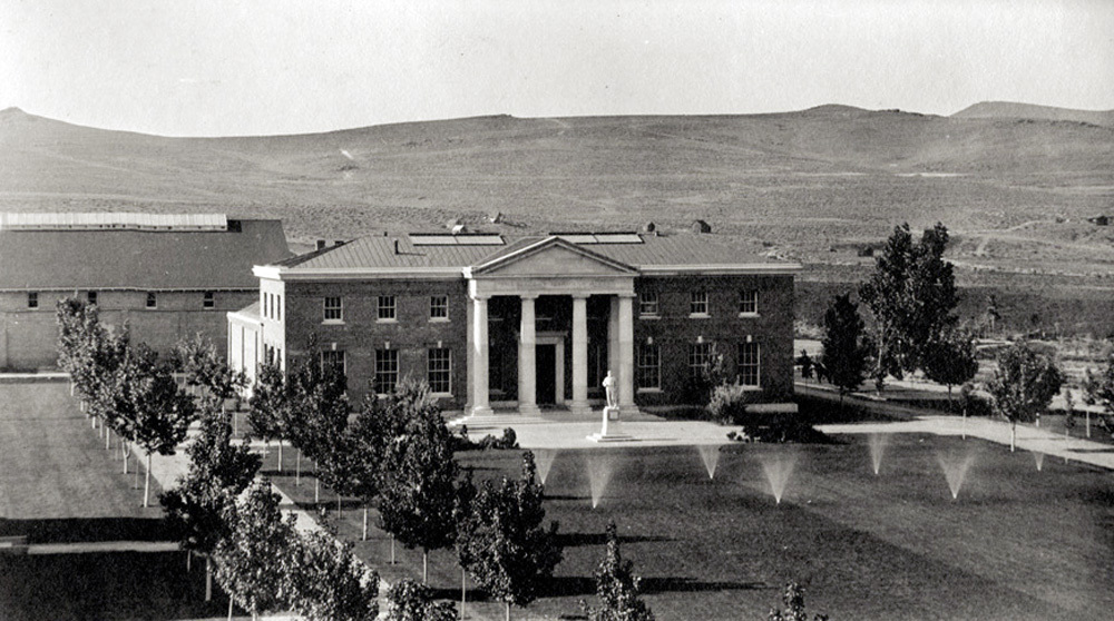 Quad view